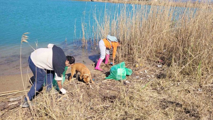 Macar Ve Türk Öğrenciler Boğaz Sahillerini Temizledi