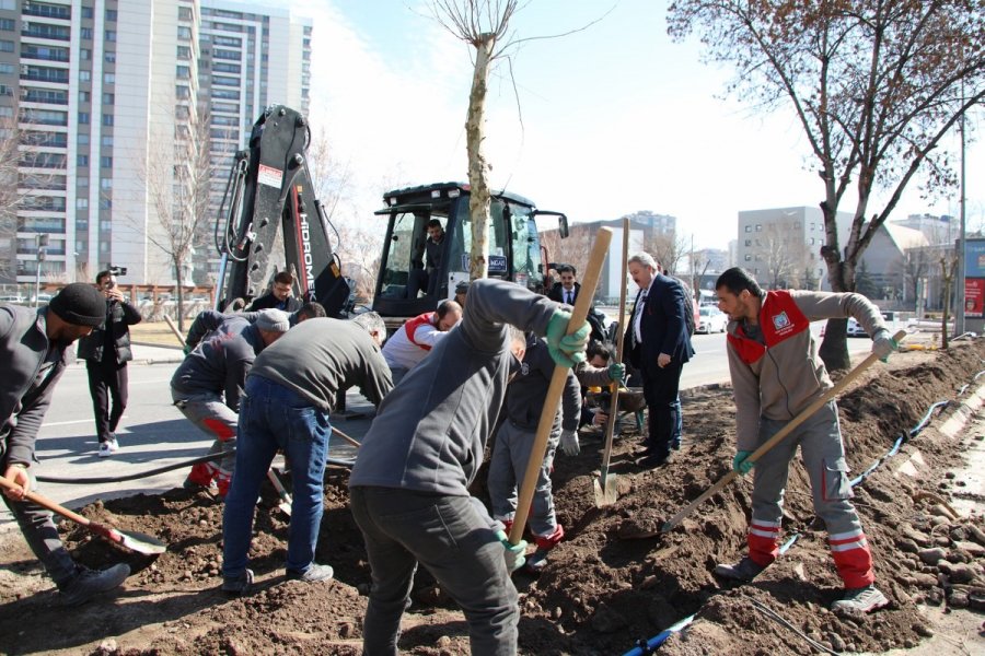 Melikgazi’de 2025 Yılı Park Ve Bahçelerin Yılı Olacak