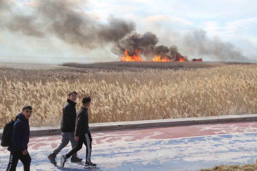 Beyşehir Gölü Milli Parkında Sazlık Alanda Yangın