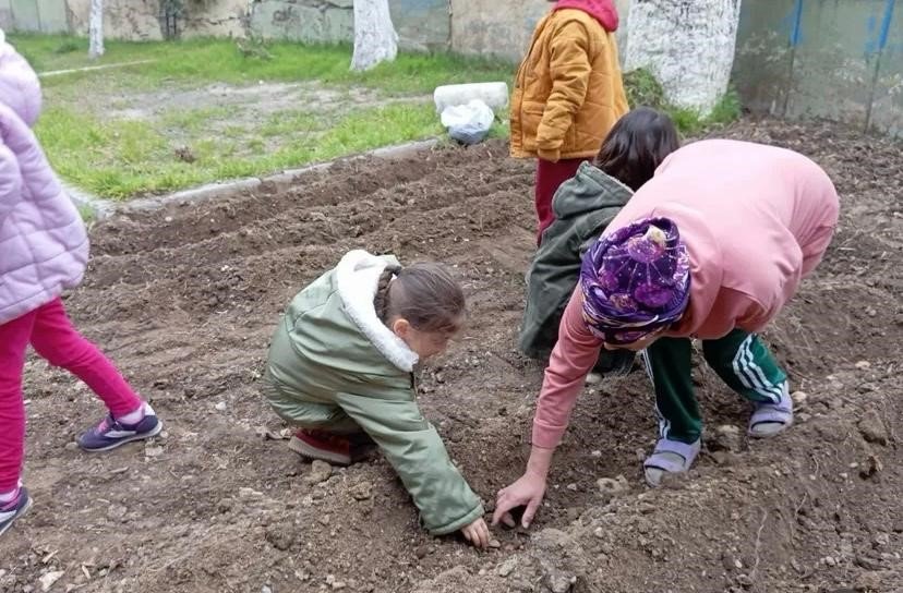 Minik Eller Tohumları Toprakla Buluşturdu