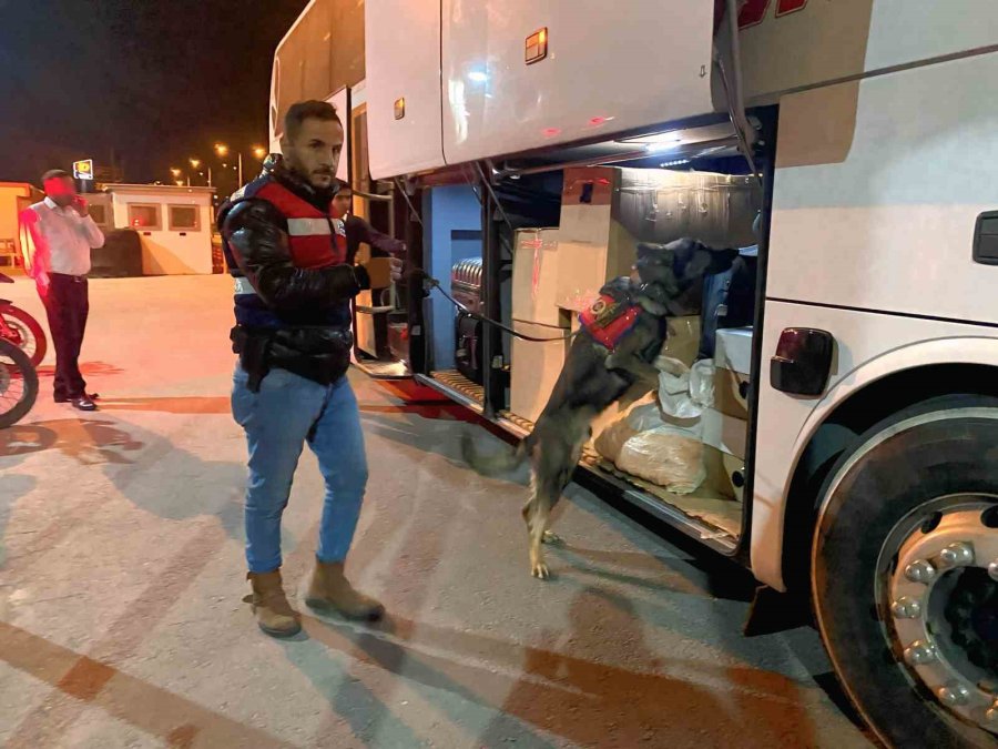 Mersin’de Jandarmadan Trafik Ve Asayiş Uygulaması