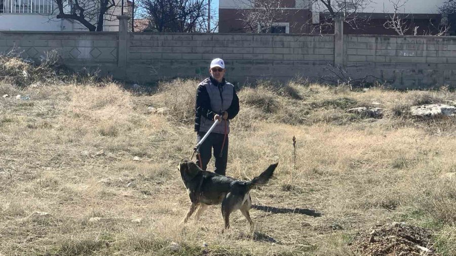 Karaman’da Köpeğin Saldırısından Oğlunu Kurtarmak İsteyen Baba Yaralandı