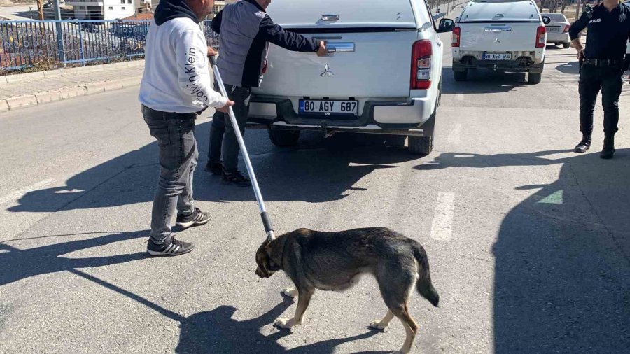 Karaman’da Köpeğin Saldırısından Oğlunu Kurtarmak İsteyen Baba Yaralandı