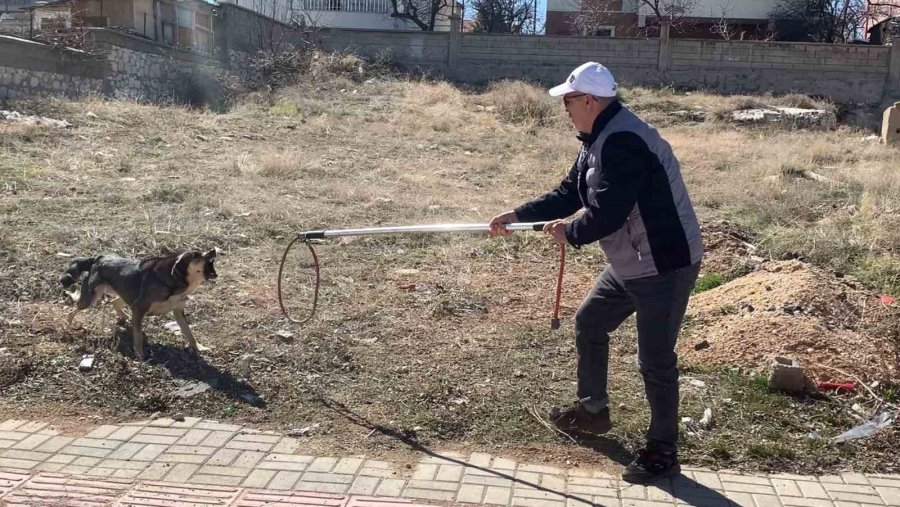 Karaman’da Köpeğin Saldırısından Oğlunu Kurtarmak İsteyen Baba Yaralandı