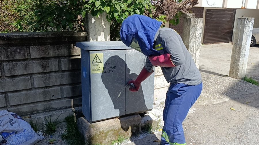 Elektrik Baksına Giren Kedi Akıma Kapılarak Telef Oldu