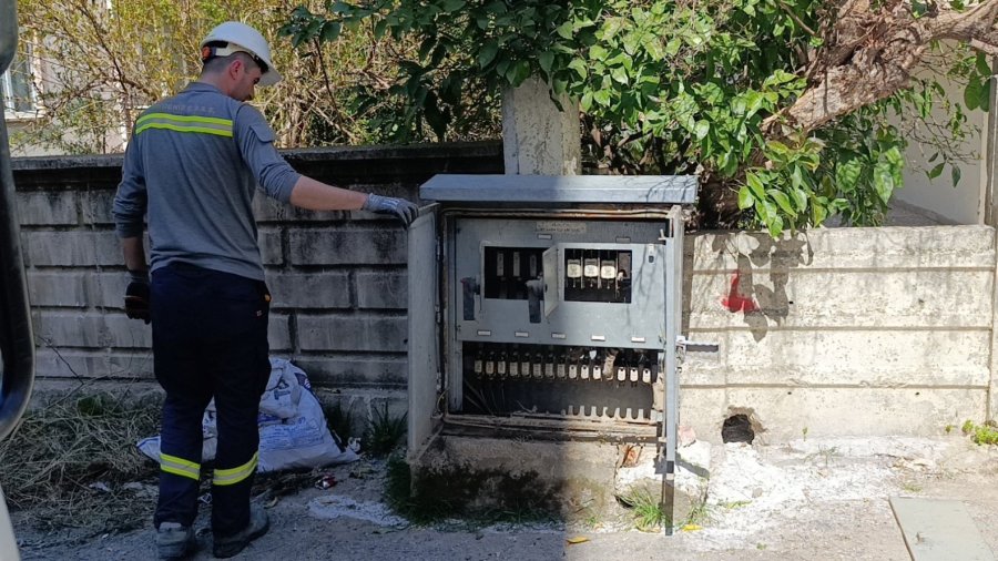 Elektrik Baksına Giren Kedi Akıma Kapılarak Telef Oldu