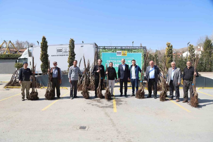 Konya Büyükşehir Tarımsal Kalkınma İçin Bu Sezon 72 Bin Meyve Fidanı Dağıtıyor