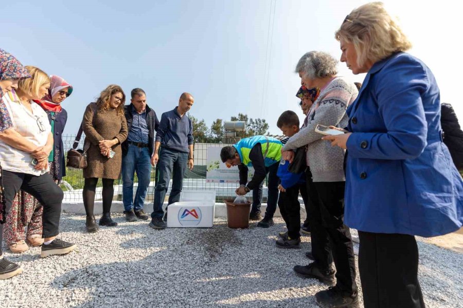 Mersin’de Kadınlar Haşere Mücadelesi İçin Lepistes Balığı Yetiştirecek