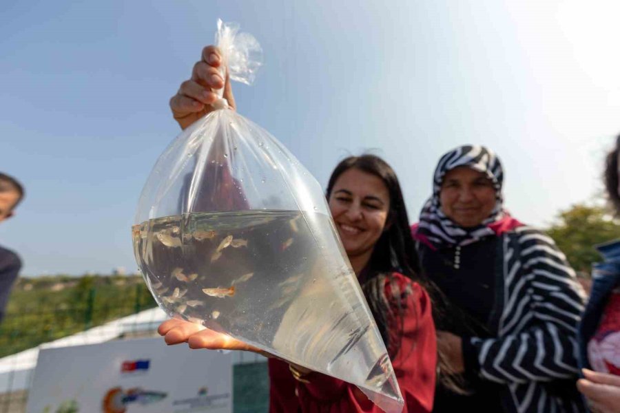 Mersin’de Kadınlar Haşere Mücadelesi İçin Lepistes Balığı Yetiştirecek