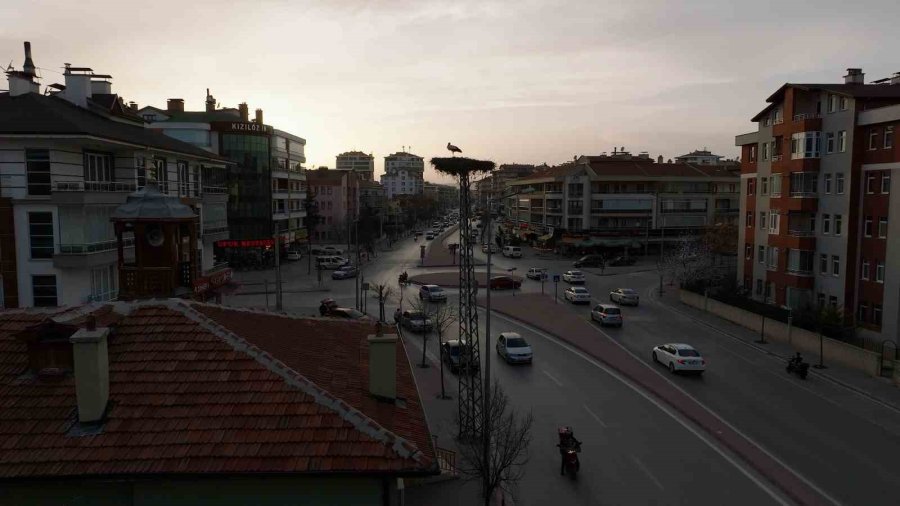 Konya’nın Yaren Leylekleri Geldi