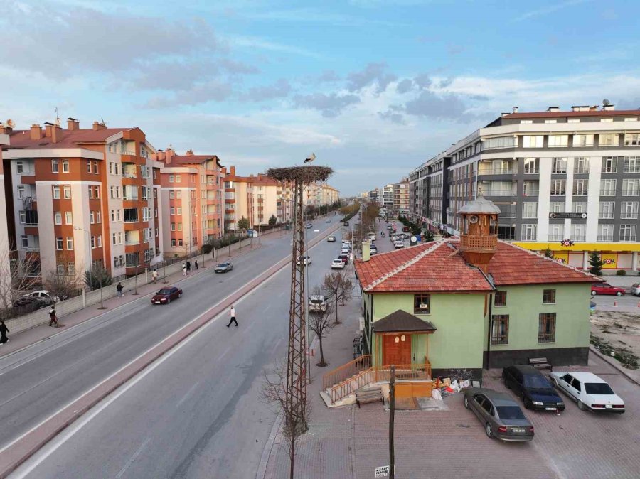 Konya’nın Yaren Leylekleri Geldi