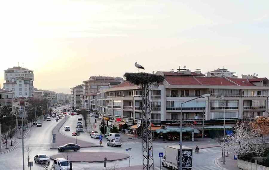 Konya’nın Yaren Leylekleri Geldi