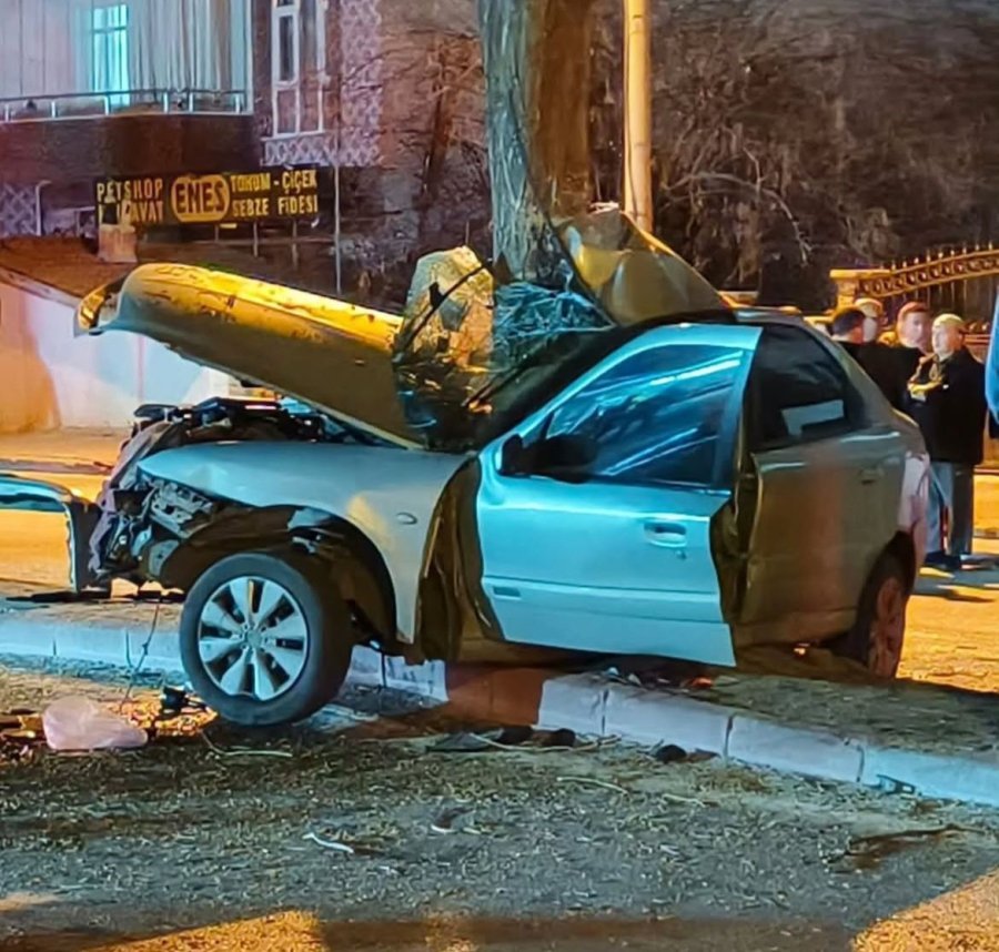 Ağaca Çarpan Otomobilin Sürücüsü Hayatını Kaybetti