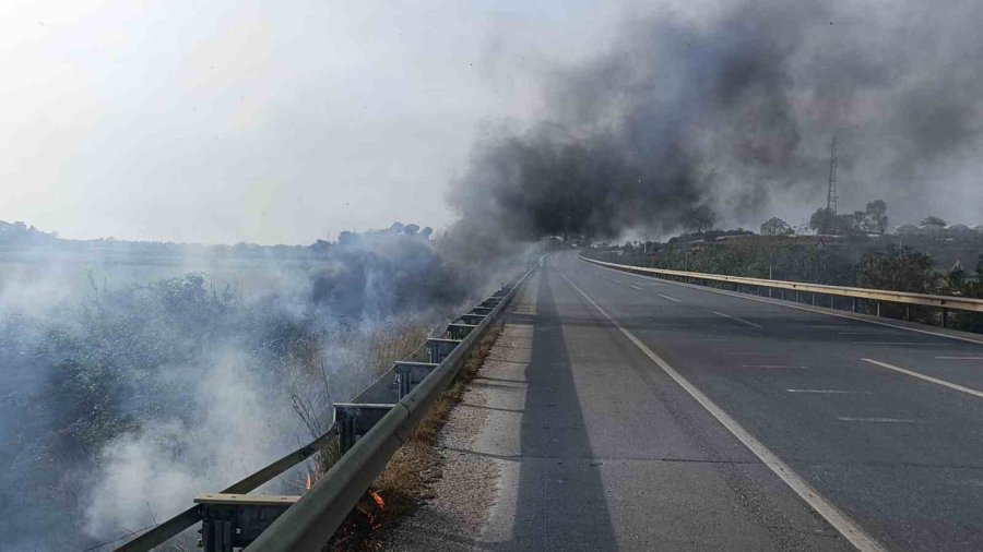 Araçtan Atılan Sigara Yol Kenarında Yangın Çıkardı, İlk Müdahale Beton Mikserinden Geldi