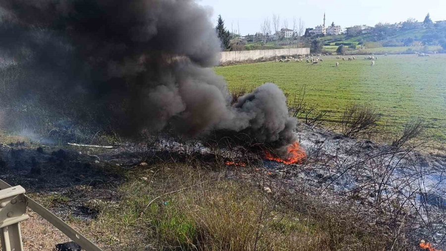 Araçtan Atılan Sigara Yol Kenarında Yangın Çıkardı, İlk Müdahale Beton Mikserinden Geldi