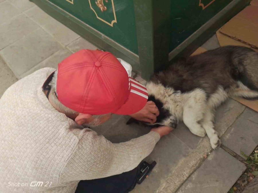 Taksi Durağında Sahiplendiği Köpeğe Çocuğu Gibi Bakıyor