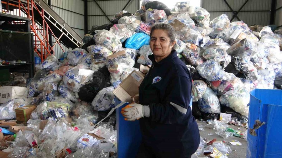 Görüntüler Duygusal Anlara Neden Oldu: Pres Makinesine Giden Kartonlar Arasından 5 Yavru Kedi Çıktı