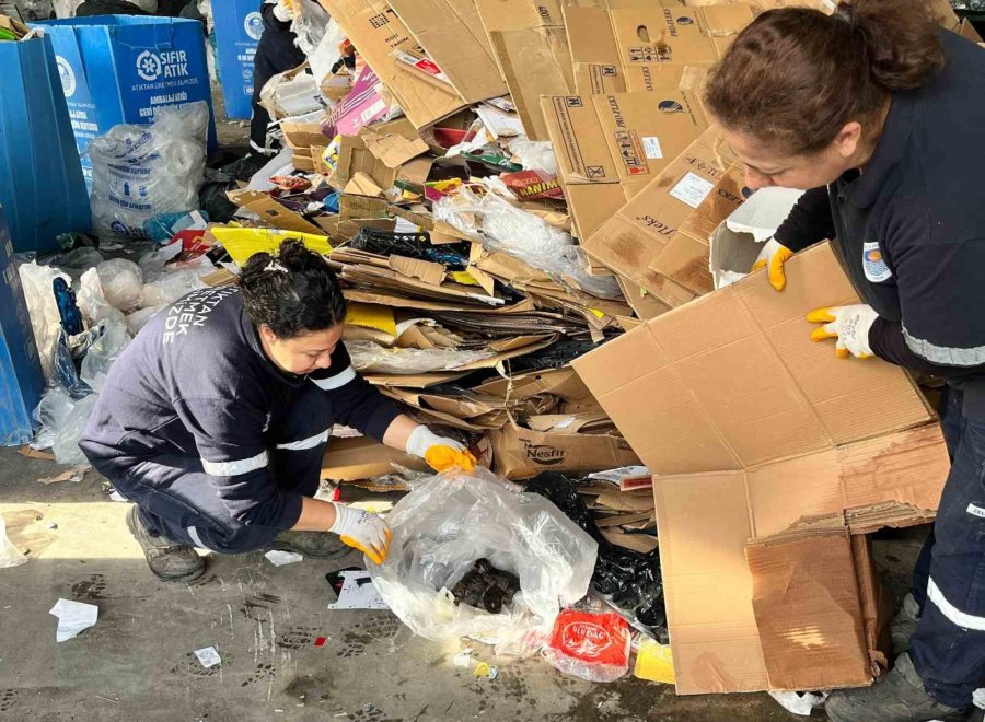 Görüntüler Duygusal Anlara Neden Oldu: Pres Makinesine Giden Kartonlar Arasından 5 Yavru Kedi Çıktı