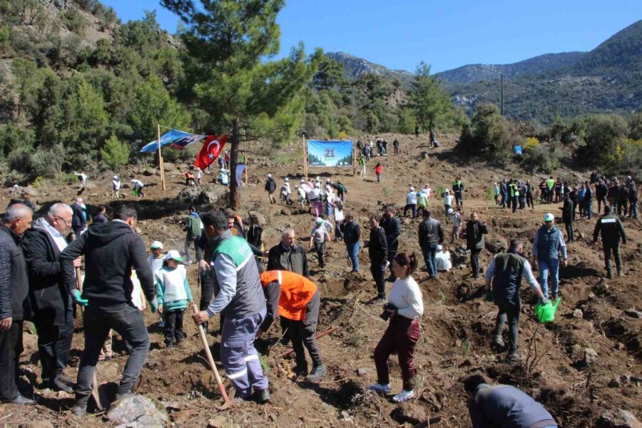 Antalya’da 700 Fidan Toprakla Buluştu