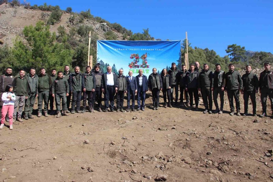 Antalya’da 700 Fidan Toprakla Buluştu